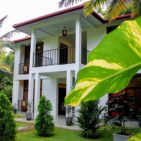 Manike Lodge Habarana Bagian luar foto