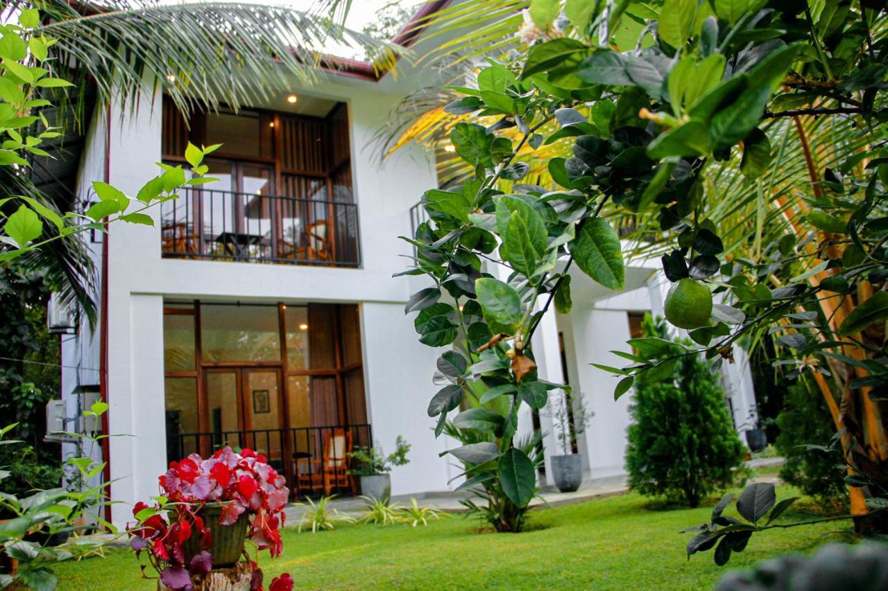 Manike Lodge Habarana Bagian luar foto