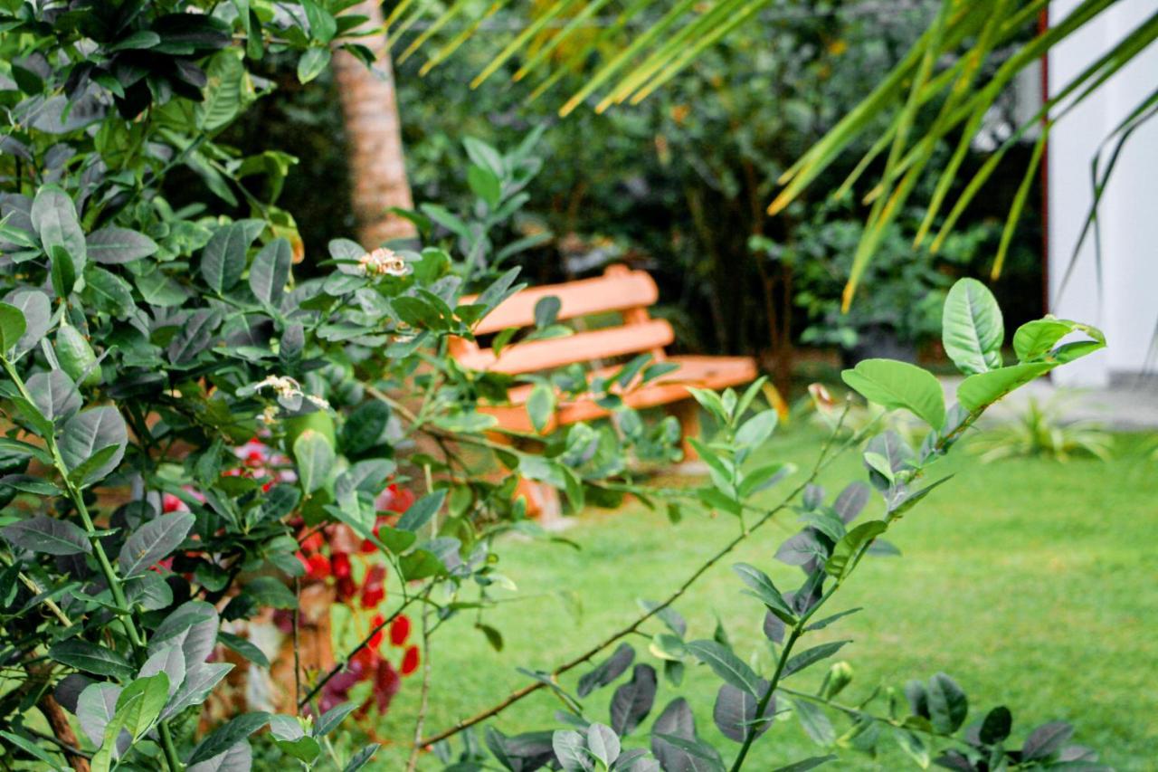 Manike Lodge Habarana Bagian luar foto